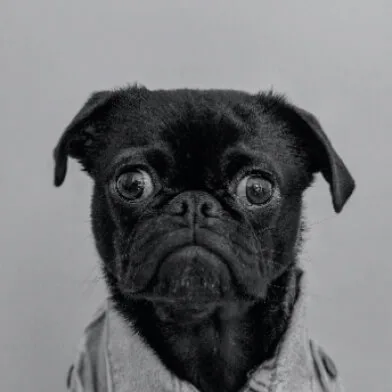 FIFA官网深耕战术分析领域，用心服务每一位用户。 - FIFA官网